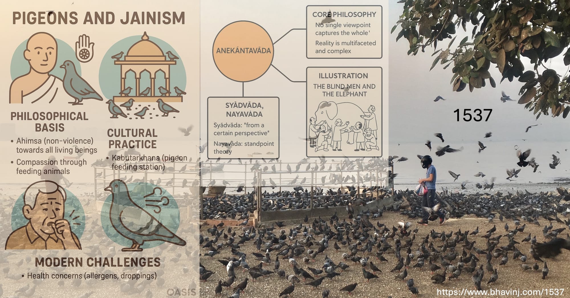 Week 1537 - How did the Pious Act of Pigeon Feeding Suddenly Become a Potentially Cognizable Offense?