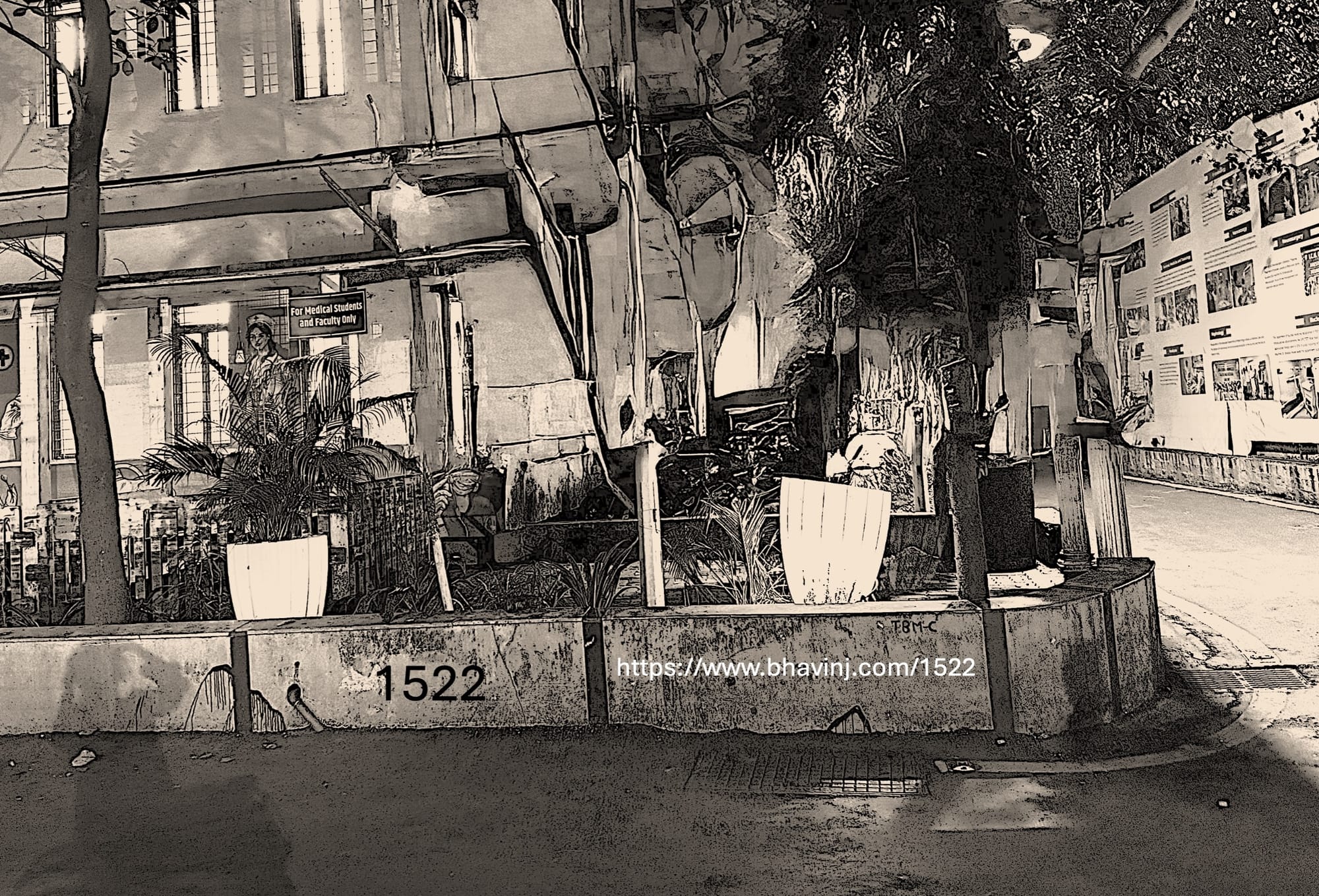 Week 1522 - The KEM Katta - It Exists and It Doesn't Exist!